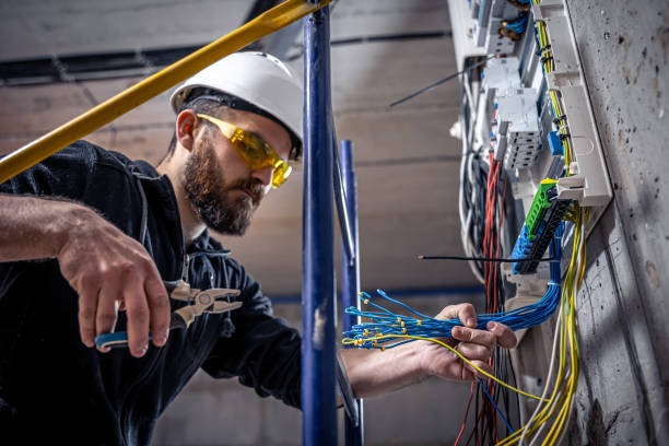 Best Electric Panel Repair  in Portage, MI