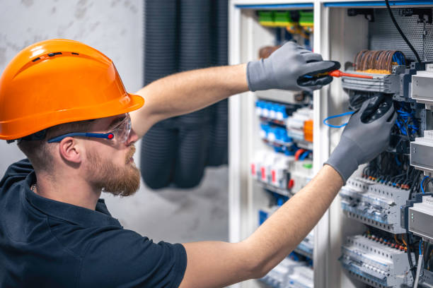 Best Electrician for Home Renovation  in Portage, MI